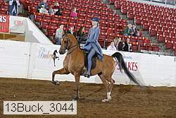13buck_3044 proof
