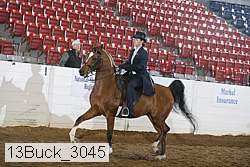 13buck_3045 proof