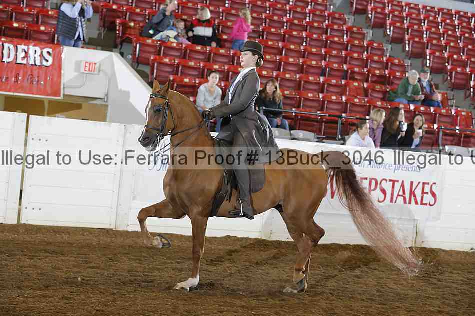 Proof 13buck_3046