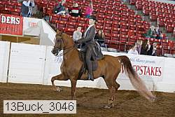 13buck_3046 proof