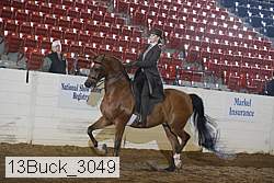 13buck_3049 proof