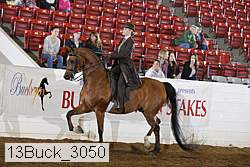 13buck_3050 proof