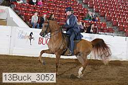 13buck_3052 proof