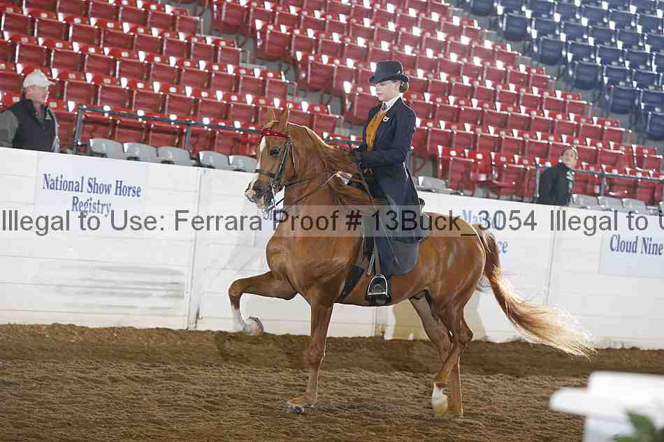 Proof 13buck_3054