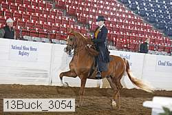 13buck_3054 proof