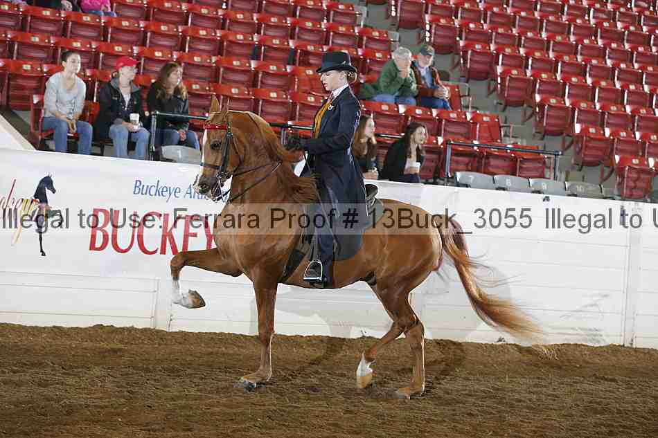 Proof 13buck_3055
