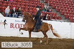 13buck_3055 proof