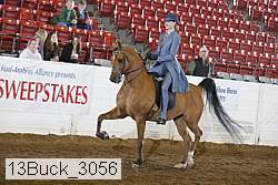 13buck_3056 proof