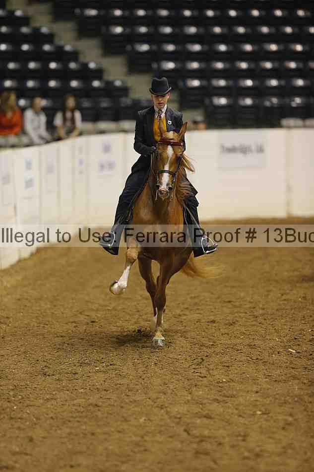 Proof 13buck_3057