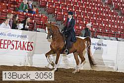 13buck_3058 proof
