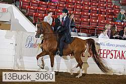 13buck_3060 proof