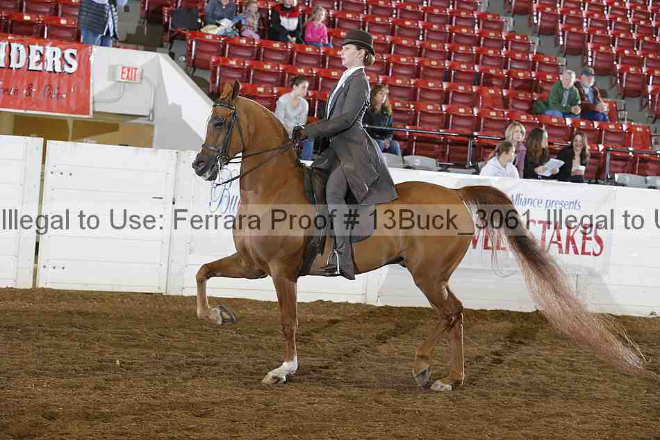 Proof 13buck_3061