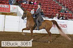 13buck_3061 proof