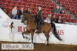 13buck_3062 proof