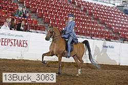 13buck_3063 proof