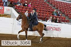 13buck_3064 proof