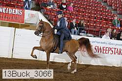 13buck_3066 proof