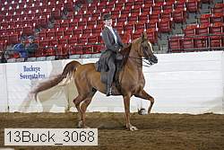 13buck_3068 proof