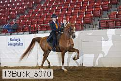 13buck_3070 proof