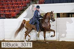 13buck_3071 proof