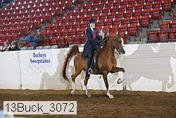 13buck_3072 proof