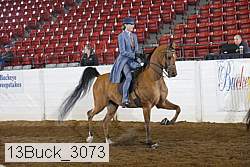 13buck_3073 proof