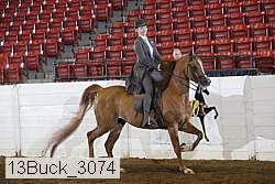 13buck_3074 proof