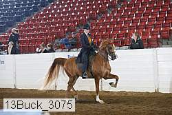 13buck_3075 proof