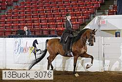 13buck_3076 proof