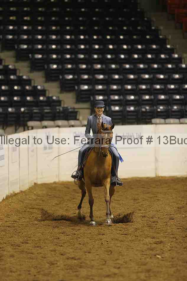 Proof 13buck_3077