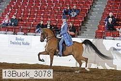 13buck_3078 proof
