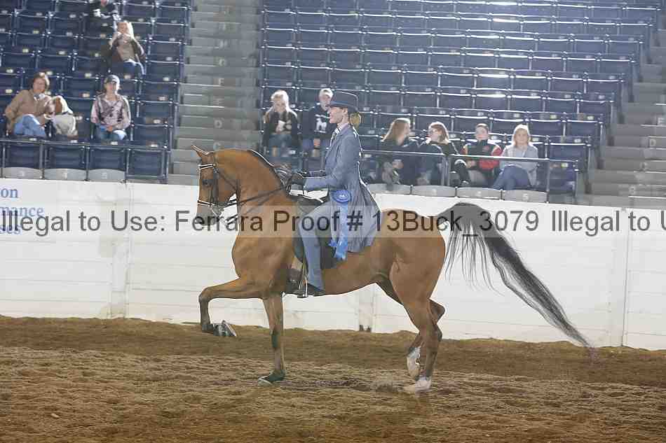 Proof 13buck_3079