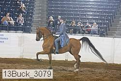 13buck_3079 proof