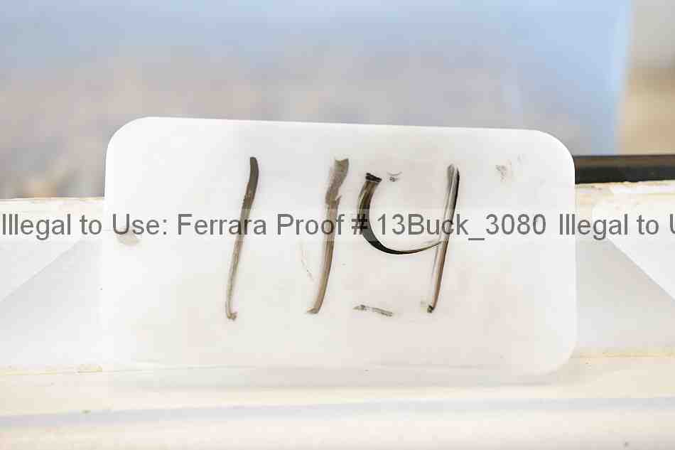 Proof 13buck_3080