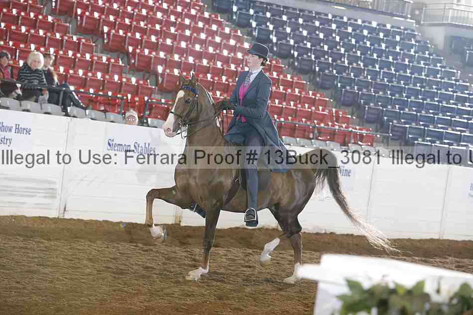 Proof 13buck_3081