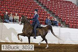13buck_3082 proof