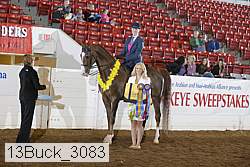 13buck_3083 proof
