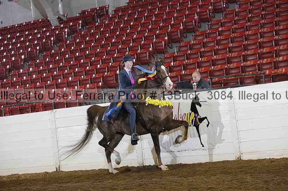 Proof 13buck_3084
