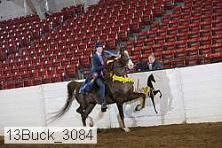 13buck_3084 proof