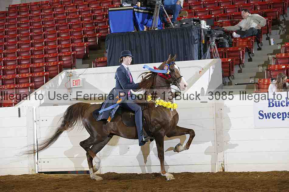 Proof 13buck_3085