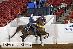 13buck_3085 proof