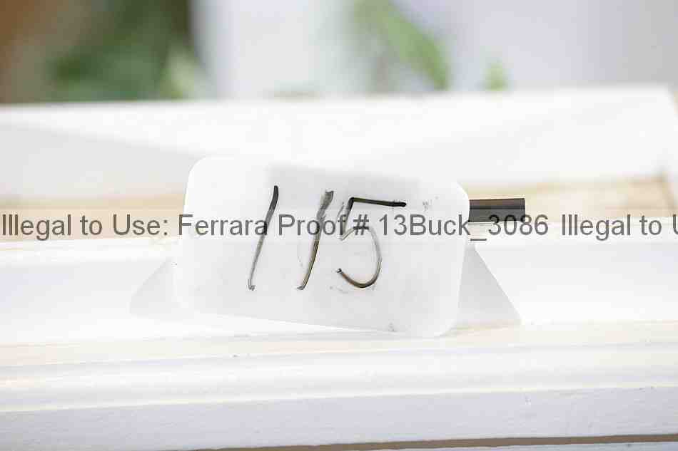 Proof 13buck_3086