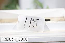 13buck_3086 proof