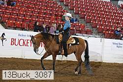 13buck_3087 proof