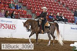 13buck_3090 proof