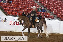 13buck_3091 proof