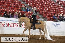13buck_3092 proof