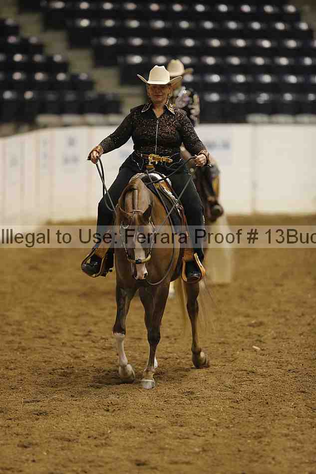 Proof 13buck_3093