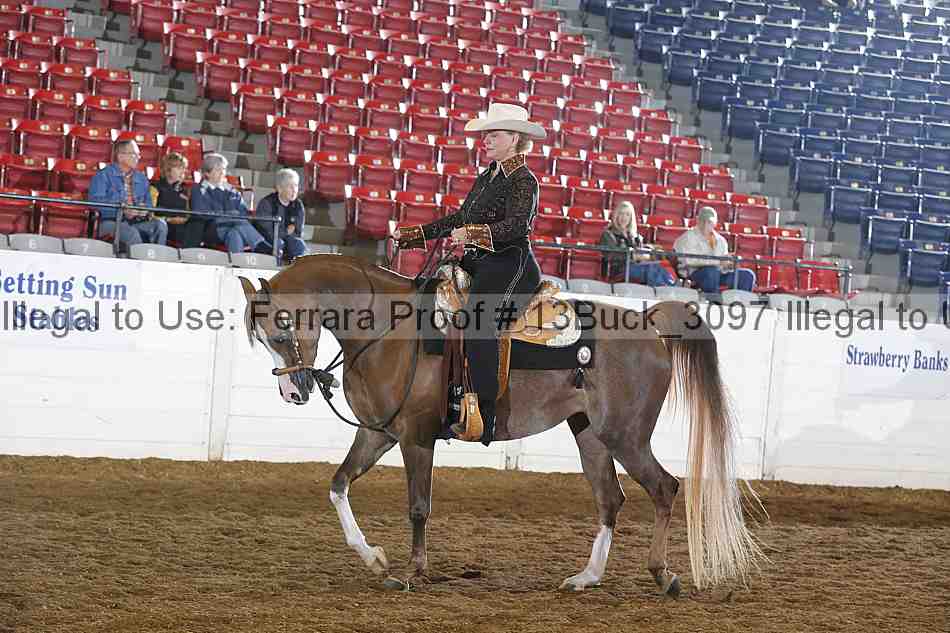 Proof 13buck_3097