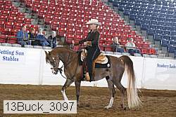 13buck_3097 proof